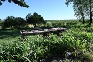 Los Alisos, hoy. Un yuyal, los arbustos y un viejo asador que cayó en desgracia.