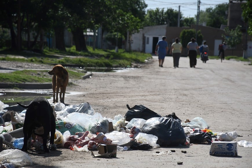 Los basurales a cielo abierto se multiplican en las esquinas. Se requiere de saneamiento urbano.