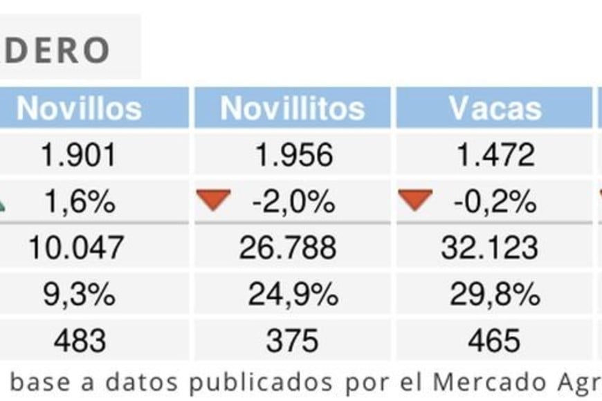 Valores de octubre 2024