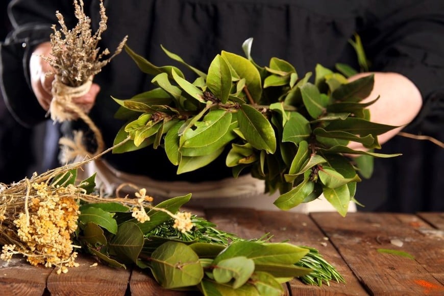 El laurel ayuda a calmar cólicos y náuseas estomacales.