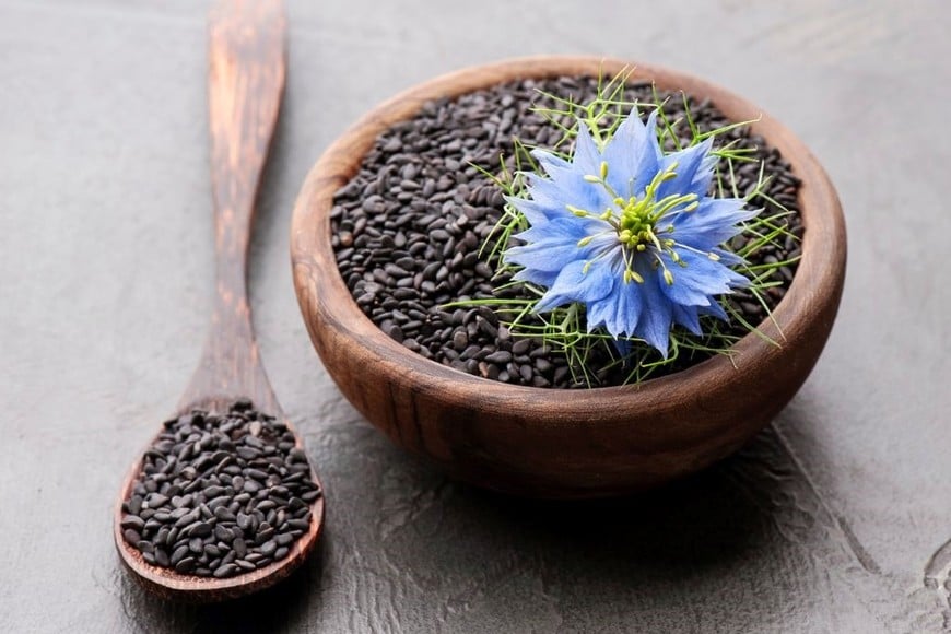 El comino negro es un antioxidante eficaz que protege el cuerpo de radicales libres.