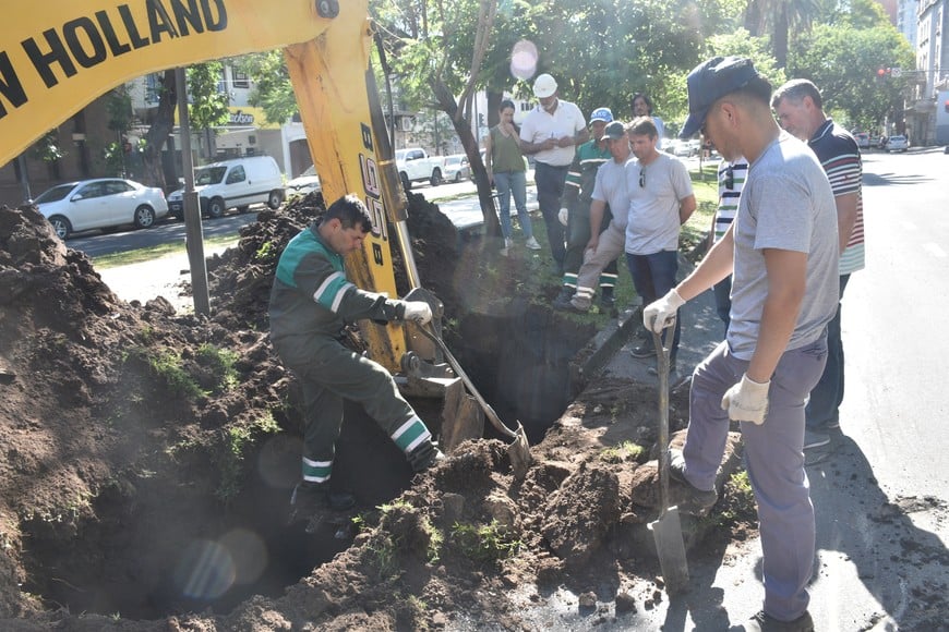 El 16 de diciembre, operarios municipales y de Aguas Santafesinas realizaron intervenciones en el sector del hundimiento. Días después se llamó a licitación, pero ésta quedó desierta.