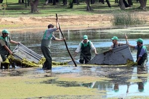 El proceso de reubicación laboral incluyó a más de 120 ex cuidacoches, pero actualmente unos 90 trabajan en estas cooperativas. Crédito: Guillermo Di Salvatore.