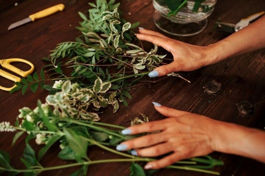 Regar a fondo y en las horas correctas ayuda a mantener la hidratación de las plantas.