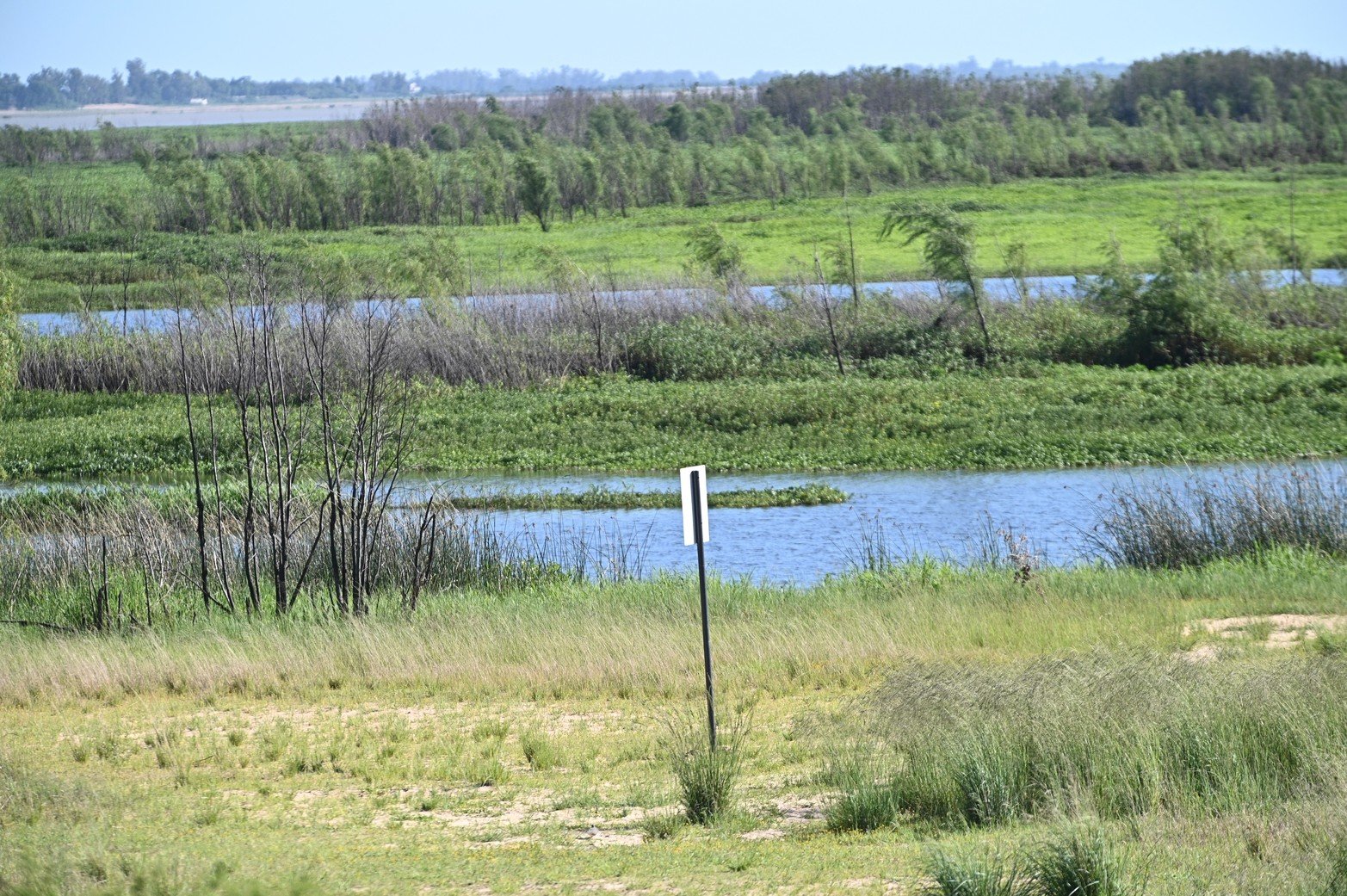 En el barrio El Pozo. La playa de Los Alisos se convirtió en un "manchón verde" de yuyos altos y arbustos. Tuvo su época de esplendor, y hoy cayó en el abandono. Piden al municipio mantenimiento, mientras advierten que el asentamiento crece.
