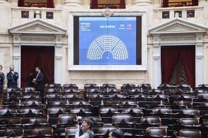 diputados