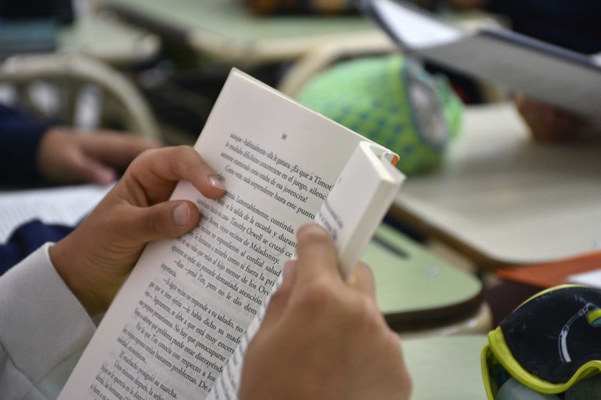 "En esos 45 minutos diarios durante un mes de clases se van a recuperar aprendizajes", dijo el ministro de Educación santafesino. Foto: Flavio Raina