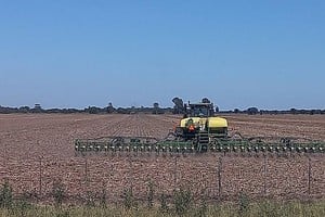 Lote con rastrojo de maíz tardío; en pleno proceso de siembra de soja temprana, en el centro del departamento Castellanos.