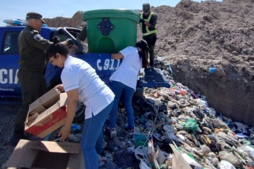 Disposición final de los productos decomisados.