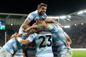 Luego del triunfo ante Italia, Los Pumas enfrentan a Irlanda. Archivo