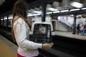 En los subtes de Buenos Aires se permite el traslado de mascotas dentro de caniles y bajo estrictas condiciones. Crédito: Archivo El Litoral