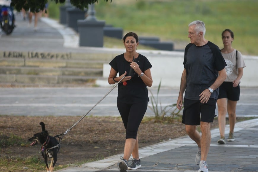 Lo mejor para una animal de compañía es no obligarlo a hacer lo que los dueños quieren (como las “Maratones con Mascotas”). Porque aquello de lo que los dueños disfrutan, para la mascota puede volverse un padecimiento.