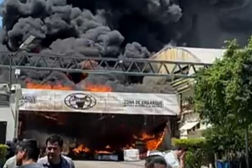 Grave incendio en Las Toscas. Captura de video.