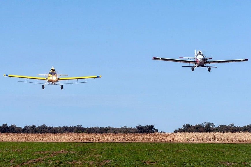 La aviación agrícola combate plagas que afectan tanto a la producción agropecuaria como a la población urbana, como la langosta y los mosquitos transmisores de enfermedades