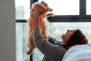 Los gatos pueden percibir diferencias hormonales, favoreciendo la cercanía con las mujeres.