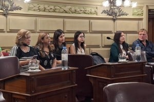 La secretaria de Mujeres, Género y Diversidad, Alicia Tate (primera desde la izquierda), valoró especialmente el veloz tratamiento que dieron ambos cuerpos legislativos en Santa Fe. Gentileza Cámara de Senadores