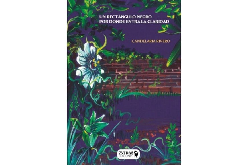 Portada del libro Un rectángulo negro por donde entra la claridad”, de Candelaria Rivero