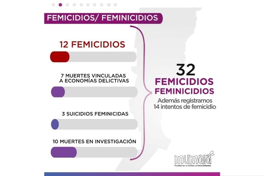 Relevamiento Femicidios