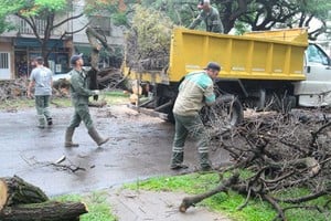 En Aristóbulo del Valle al 4300 debieron retirar un gran árbol que cayó y bloqueó el tránsito. Foto: Guillermo Di Salvatore