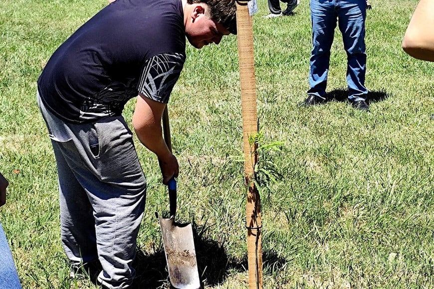 Cada estudiante egresado plantó un árbol que llevó su nombre. Crédito: Cristian Góndolo.