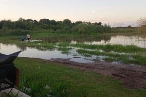 El barrio no solo está inundando, sino que ya se formó una especie de laguna donde se juntan ranas, sapos, serpientes y otro tipo de animales que generan malestar y miedo entre los vecinos.