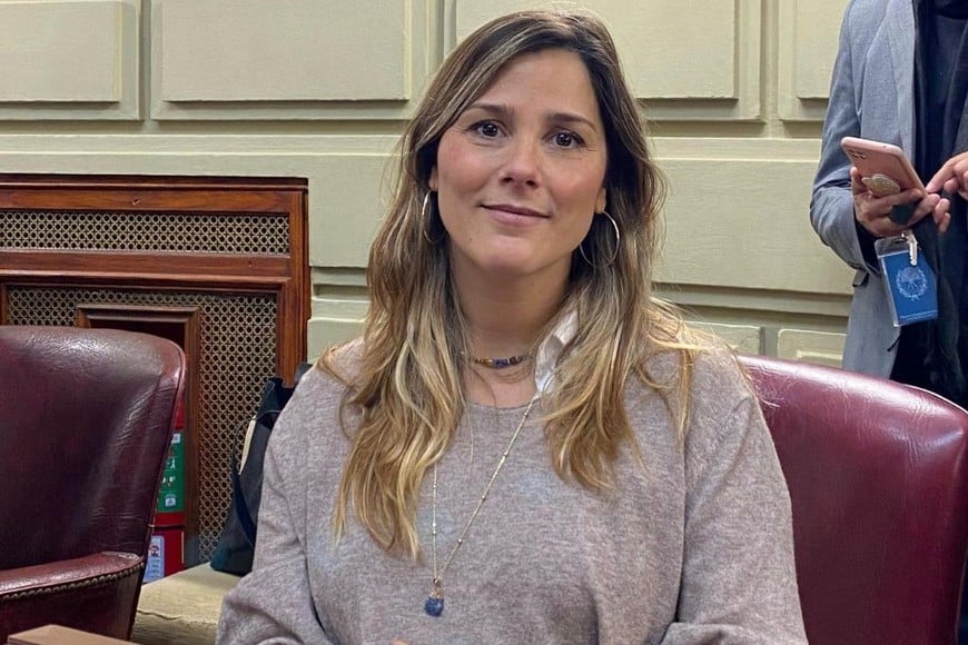 El proyecto fue promovido por la diputada provincial Ximena García.