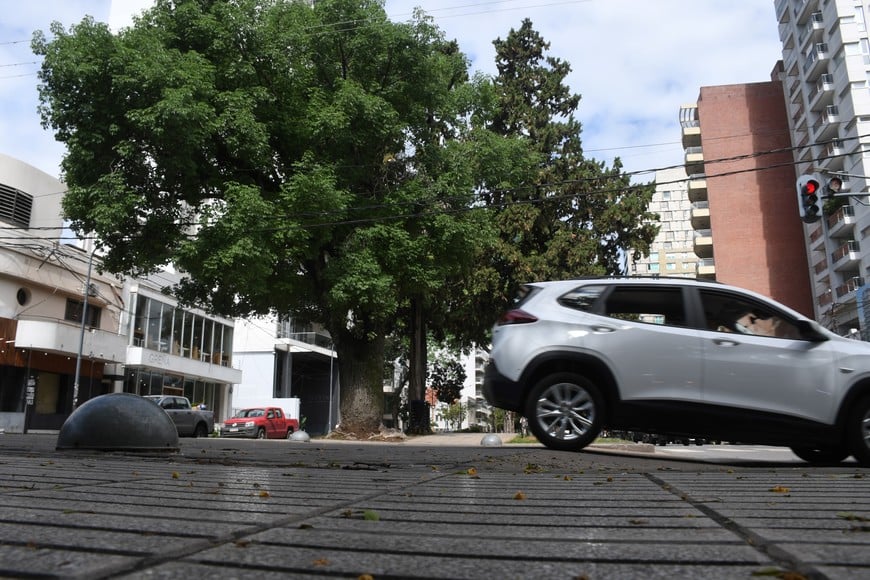 En algunos cruces de bulevar Gálvez también hay manda peatones. Crédito: Luis Cetraro