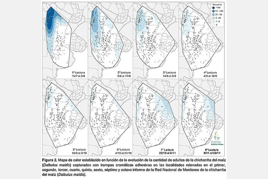 El 8° informe de la Red Nacional de Monitoreo Dalbulus maidis, que relevó 434 localidades de Argentina y Uruguay entre el 9 y el 22 de noviembre, mostró que en más del 99% de las localidades del Centro Sur y casi el 95% del Centro Norte, la presencia del vector fue nula o bajísima.