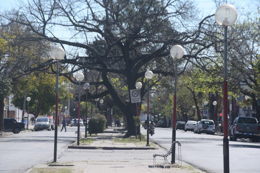 En la Av. J. J. Paso, las viejas luminarias deberán ser reemplazadas por las empresas que finalmente resulten adjudicatarias.