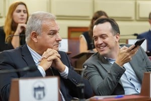 Farías y Blanco, espadas de Unidos en la Cámara de Diputados. Foto: El Litoral