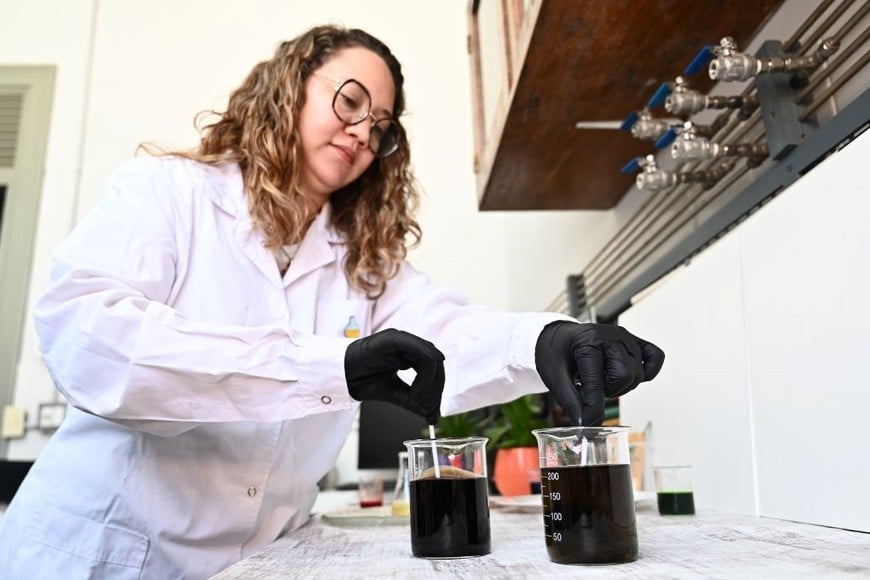 La ciencia alimentaria está transformando la forma en que entendemos la nutrición y la salud. Crédito: Flavio Raina.