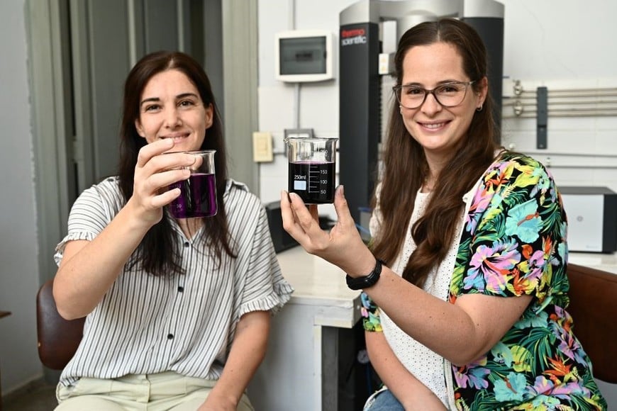 La Dra. Fioramonti y la Dra. Loyeau aplican la ciencia para mejorar la calidad de los alimentos. Crédito: Flavio Raina.