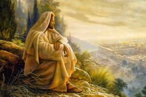 Jesús vino una sola vez en la historia, pero viene permanentemente a nuestro encuentro. Gentileza