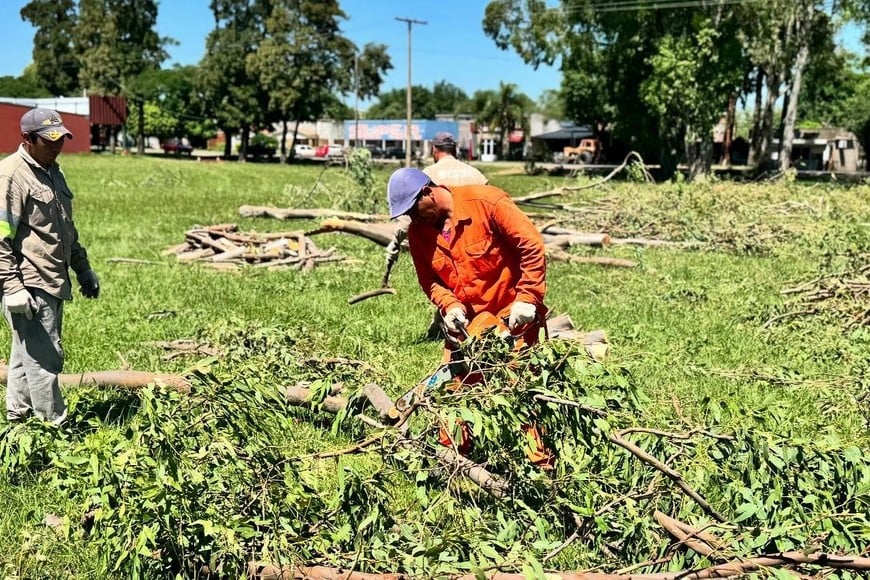 Uno de los puntos más críticos de la situación fue la afectación al cementerio local, así como a las viviendas de la zona impactada. Afortunadamente, todas las familias afectadas por el temporal están recibiendo atención y asistencia por parte de los servicios sociales.