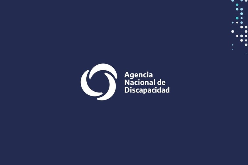 Agencia Nacional de Discapacidad (Andis).