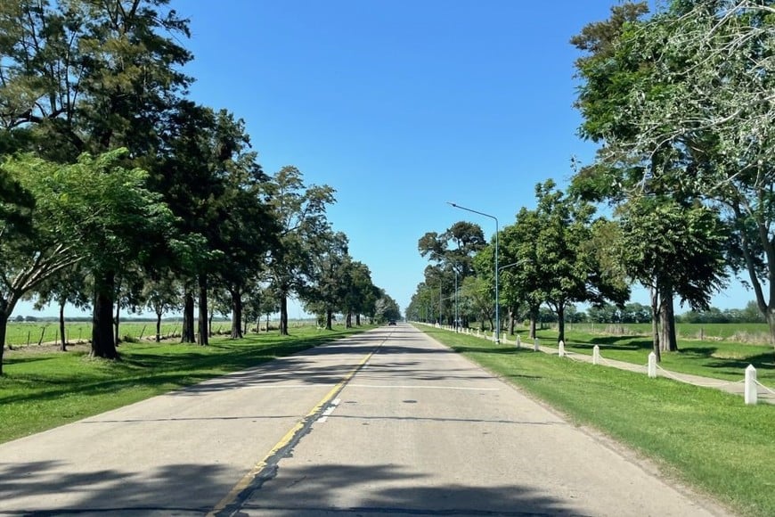 La traza que desde hace años presenta baches y ondulaciones afecta a vecinos, empresas y servicios de transporte que a diario circulan por la ruta que conecta a la ciudad con la Autovía 19. Foto: El Litoral