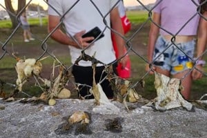 Restos de pollo en el alambrado del sector visitante en el estado de Matienzo. Foto gentileza: Patri en Redes