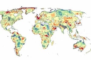 En otros países, como Estados Unidos, el calor ya mata más que huracanes, tornados e inundaciones juntos.