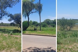 “Lo que más nos preocupa es el abandono de los espacios públicos. Fotos 1 y 2: playa Los Alisos. Foto 3: la canchita Pío XII, sobre calle Jiménez Assua, a la altura de Alejandro Greca: sin palabras…”, dicen los vecinos de barrio El Pozo.