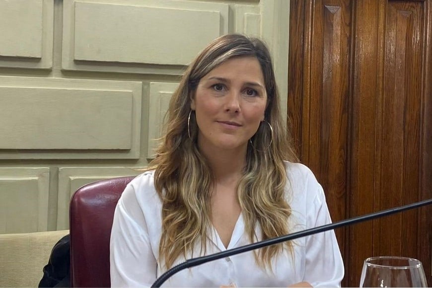 Diputada Provincial Ximena García