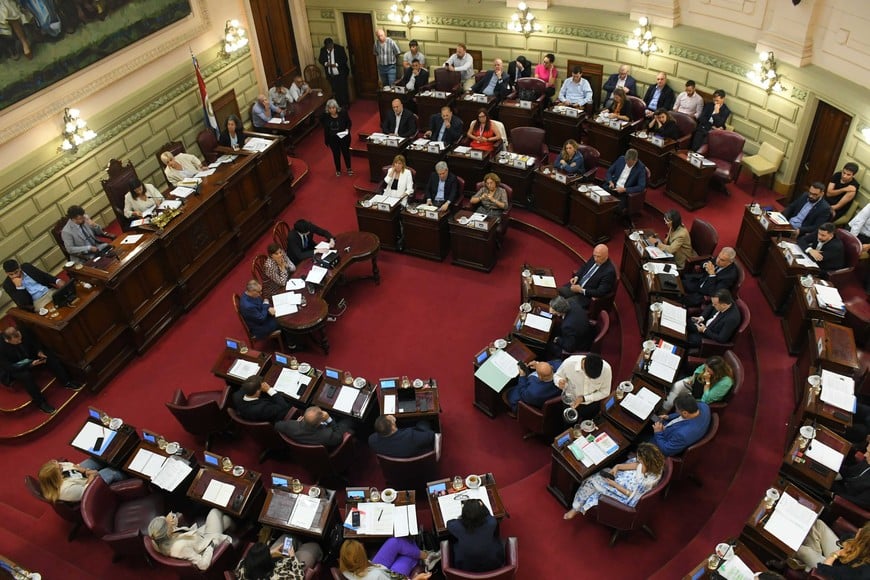 Legisladores provinciales dieron un paso hacia el debate de fondo para modificar la Carta Magna. Foto: Manuel Fabatía