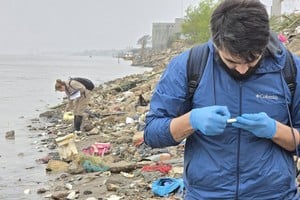 Entre las posibles causas mencionadas inicialmente se barajaron la falta de oxígeno debido a la bajante del río y algún tipo de contaminación en el agua.