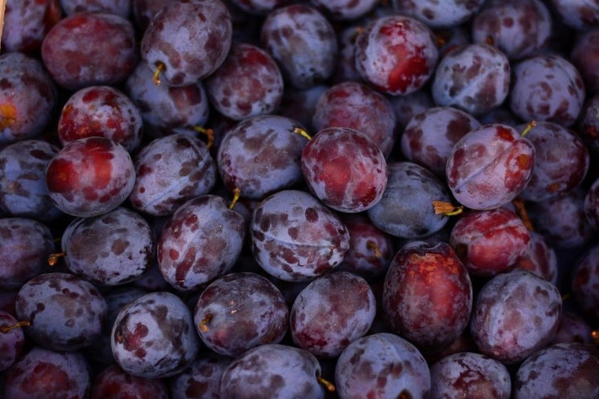 Los antioxidantes de las ciruelas pueden disminuir el riesgo de daño solar y la aparición de arrugas.