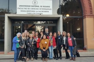 Se trata de un trabajo articulado entre las 12 facultades públicas del país que forman profesionales en la materia