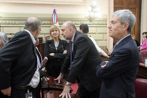 Los diputados del justicialismo se pronunciaron con criterios diferentes, en cuanto a lo resuelto por el partido y también por las propias bancadas. Créditos: Guillermo Di Salvatore