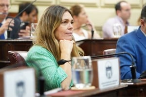 Di Stefano expresó la relevancia de lo votado en su discurso durante el debate.