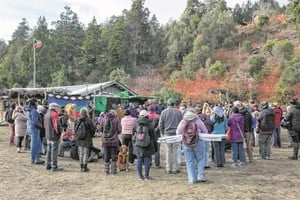 La Corte sostuvo que "no toda tenencia o posesión de tierras por parte de un grupo o comunidad que se reivindica como aborigen es susceptible de tutela constitucional" y que "el acceso irregular a ellas no fue un objetivo buscado por el constituyente".