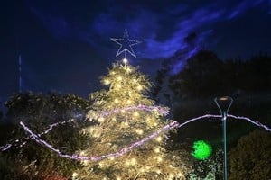 “Desde la Comuna, agradecemos a todos los que se sumaron para vivir juntos este momento especial que marca el inicio de las celebraciones navideñas en nuestra localidad”, comentaron autoridades comunales.
Foto: Gentileza