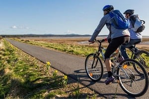 Con el 2024 llegando a su fin, muchas familias ya están pensando en los últimos feriados del año.