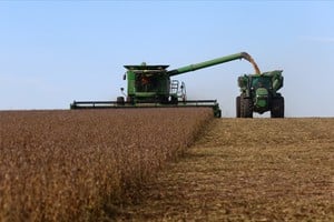 SOJA Soybeans are harvested from a field in Pergamino, on the outskirts of Buenos Aires, Argentina, May 15, 2024. REUTERS/Matias Baglietto